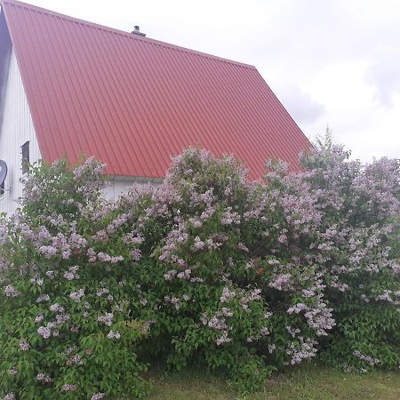 Zabljak Izdavanje Kuce Dış mekan fotoğraf