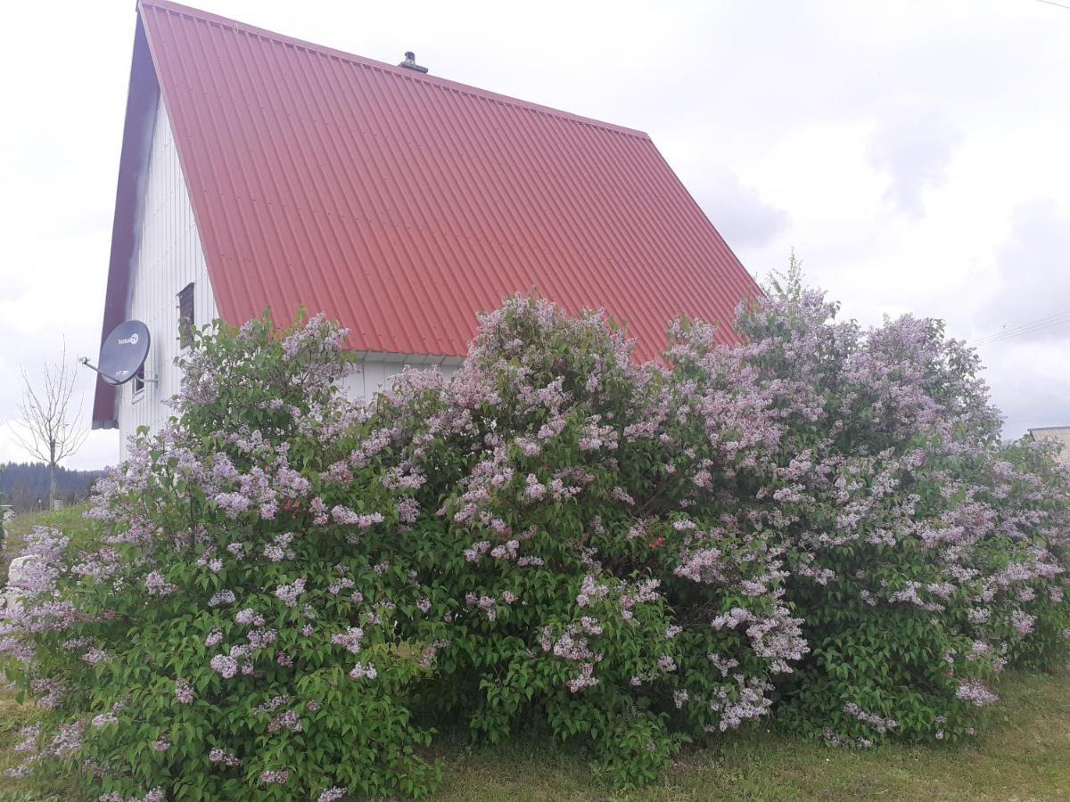 Zabljak Izdavanje Kuce Dış mekan fotoğraf
