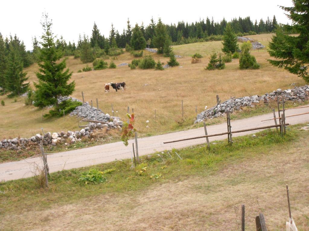 Zabljak Izdavanje Kuce Dış mekan fotoğraf