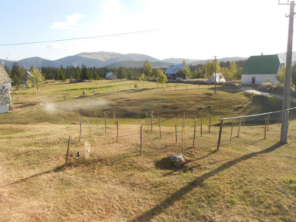 Zabljak Izdavanje Kuce Dış mekan fotoğraf